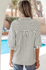 Blue Stripe Floral Embroidered Detail V Neck Short Sleeve Blouse