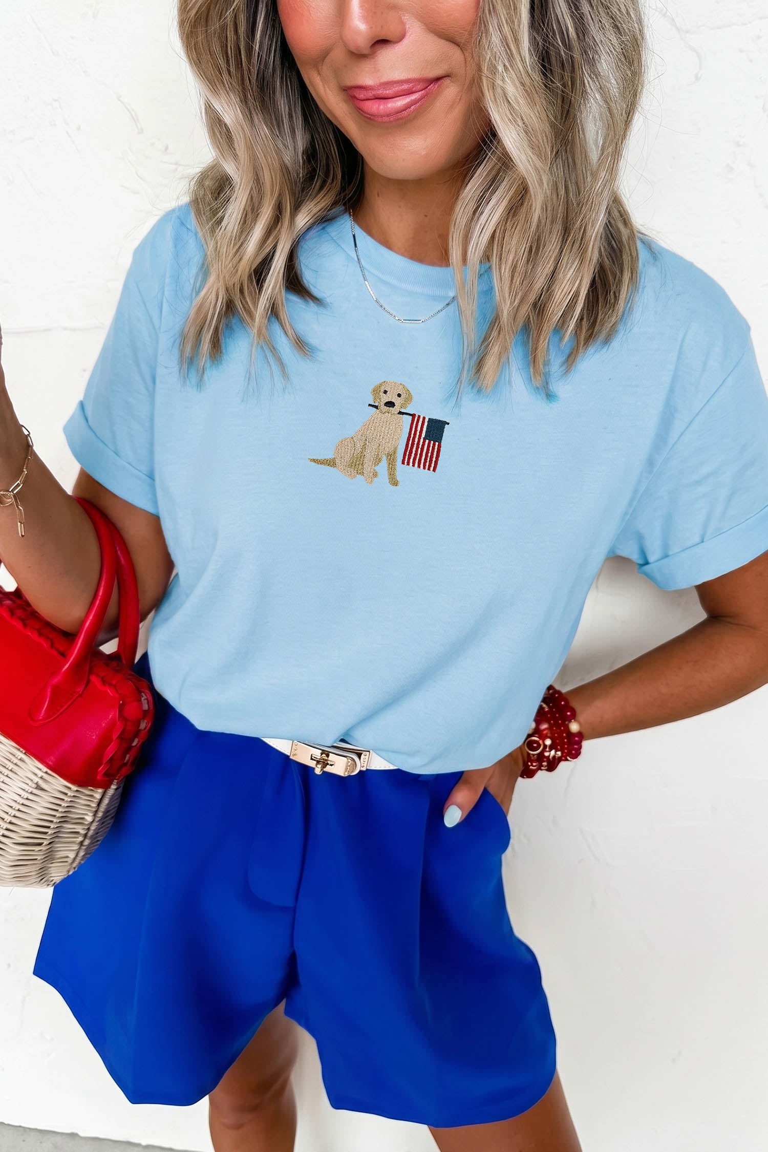 Light Blue Embroidered Dog Holding American Flag Graphic T Shirt